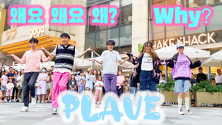 萌到融化的五小漫PLAVE 新歌Why? 路演翻跳来了！【二次元 皮套男团】