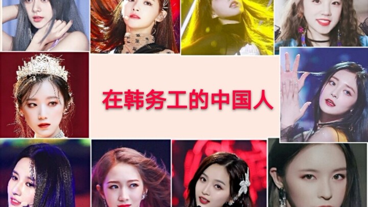 【Heartflutters of Chinese Beauties】Chinese Workers in South Korea