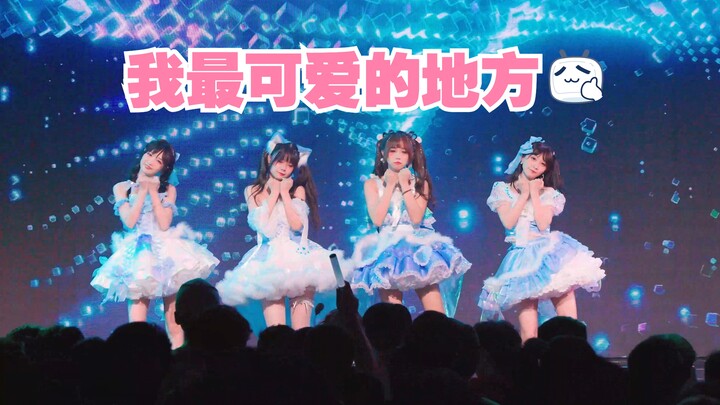 【CuCu x Oaqi x Mengai x Cat Master】⚡️The cutest thing about me is ⚡️ singing and dancing by myself
