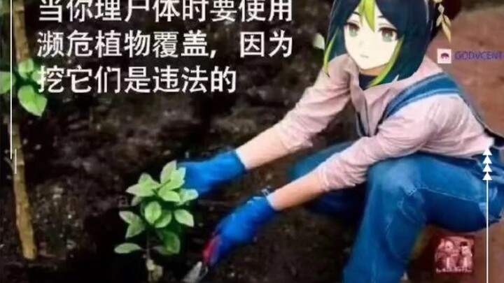 Genius