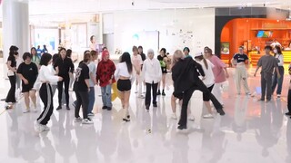 【SEVENTEEN】How come the fans can dance so well together? ? Super full song random dance | Sing and d
