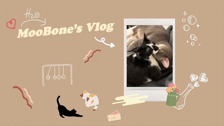 A Purrfect Adventure with Wishbone & Moomoo - Adorable Cat Vlog Episode1!!