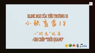 [VIETSUB] Trương Chân Nguyên-Blink box của Tiểu Trương 18