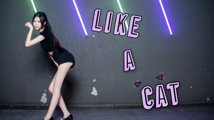 【万粉作】Like a cat❤️猫步轻悄❤️肉肉猫咪～【深白】