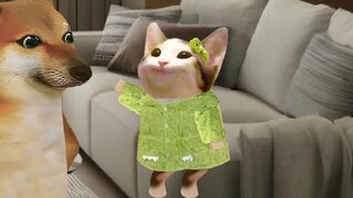 "Tôi chỉ hỏi bạn có mù không" Âm thanh gốc: @ yudoudou