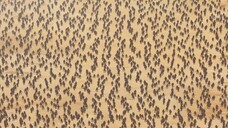 Tôi sẽ "đỡ" hết mọi thứ - Tập 10