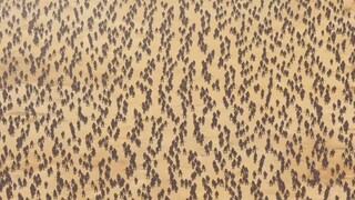 Tôi sẽ "đỡ" hết mọi thứ - Tập 10