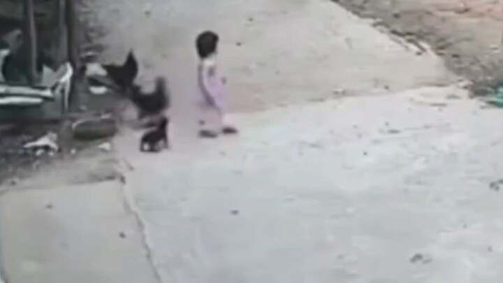 My head’s itchy—what’s wrong with rubbing it on you?