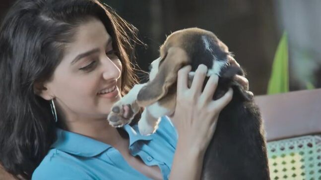 Lucky the Superstar (2026) (Hindi + Tamil)  South Movie  720p #tag new trending movie