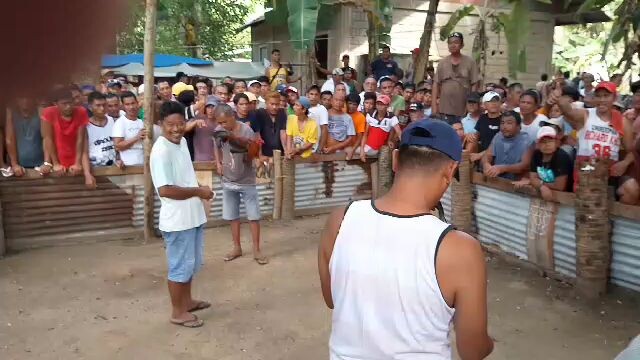 3x winner gilmore sweater