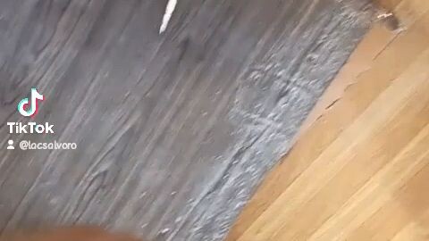 Lucky to have this Lola. 🥰 #Lola