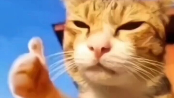 ยิ้มทุกวัน ทิ้งความกังวลไป