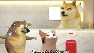 你怎么这么幼稚，还看变形金刚！