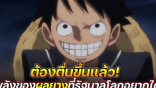 วันพีช ต้องตื่นขึ้นแล้ว! พลังของผลยางที่รัฐบาลโลกอยากได้ !!
