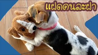 โลกของแสนดี ตอน แฝดพี่แฝดน้อง