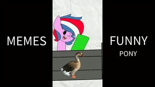 ANIMASI MEMES FUNNY