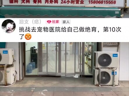 Girls, do you have any pretty little dresses to recommend?