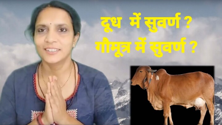 17 GAAND KI RAMAYANA SURABHI MALL LLC GILBERT, ARIZONA - GA@NDLOVER RUNDI DIPIKA PATEL [WMOG1RSvyWU]