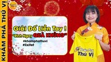 🔥Khám Phá Thú Vị Chúc Mừng Năm Mới 2022 - Giải Đố Liền Tay Rinh Ngay " Quà Khủng " | KPTV