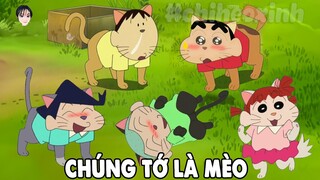 Chúng Tớ Là Mèo | Shin Cậu Bé Bút Chì Tổng Hợp Tập Mới Hay Nhất Phần 786 | #CHIHEOXINH