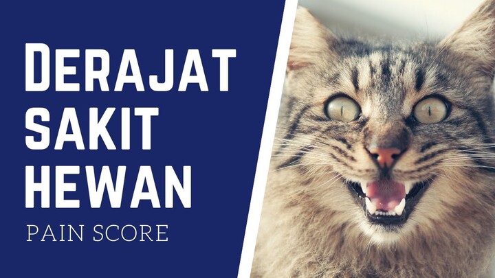 Derajat Sakit pada Anjing dan Kucing (Pain Score)
