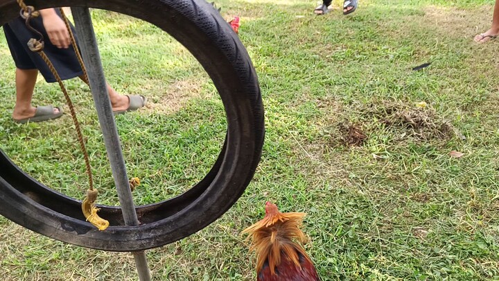 McLean Kelso VS 5k Sweater Spar