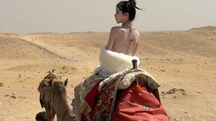 But I searched all over Egypt and still didn't see that wall covered with roses—Nishuihan Cheongsam