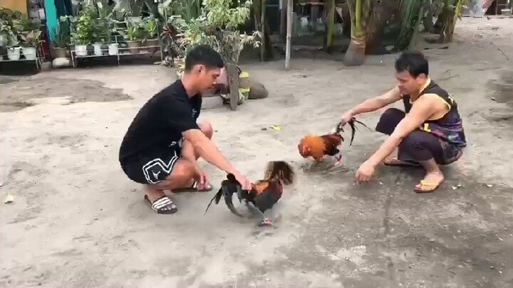 preparing for 2hits Ulutan pwede na ba mga boss