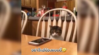 แกล้งกันจนชินเลย555