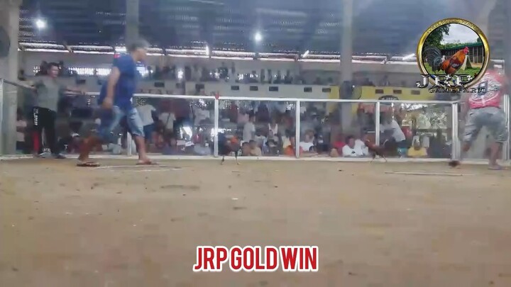 1st 2 hits Champion at Jones Cockpit Arena  Isabela! JRP line and MT Banahaw line used!