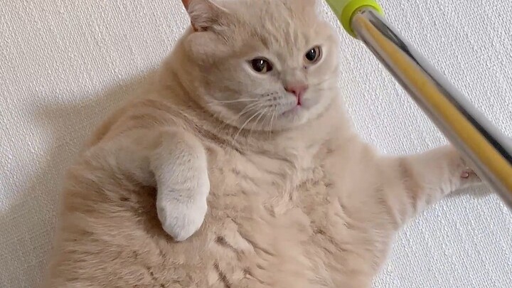 ค่อยๆ ปลุกจิตใจที่หลับใหลให้ตื่นขึ้น