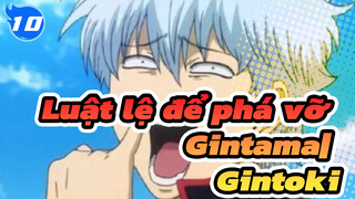 Luật lệ để phá vỡ Gintama| Bộ sưu tập Các cảnh chiến đấu kinh điển của Gintoki_10