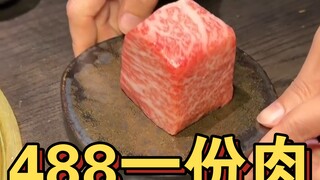 488 sepotong daging... lebih kecil dari jari kelingkingku