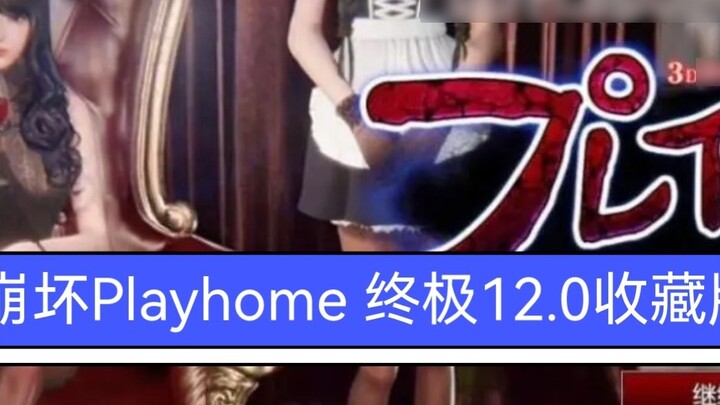 Family Honkai Impact Playhome Ultimate 12.0 Collector's Edition Integrasi Baru