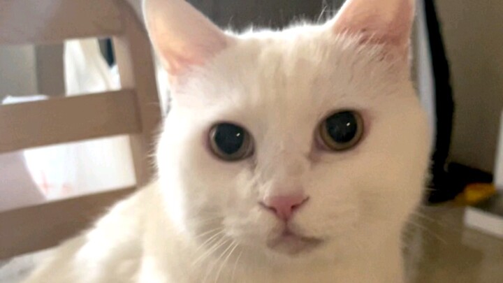 Da Mi: I’m so hungry—let’s eat!