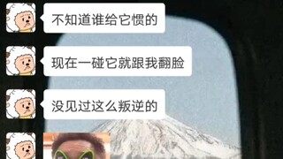 พลิกหน้าเหมียว