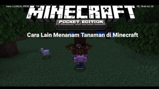 Cara Menanam Tanaman Yang Benar Di Minecraft PE