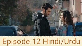 My Left Side (Sol Yanim) | Turkish drama | Hindi/Urdu Episode 12 (Last Part)