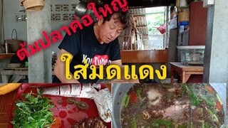 ต้มปลาค้อใหญ่ใส่มดแดงกับพ่อใหญ่หมอแคน