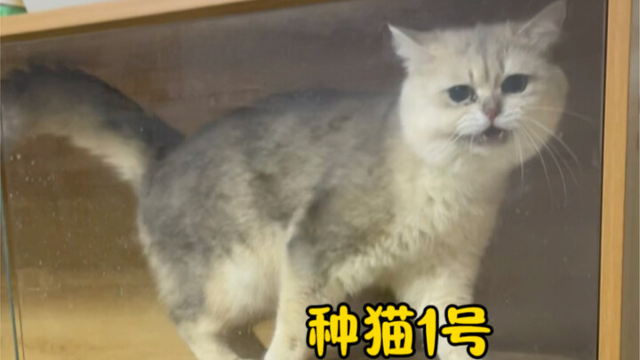 Siang waspada, malam waspada, tetapi sulit mewaspadai pencuri dalam rumah...