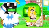 Mèo Simmy Chơi Trốn Tìm Nhưng Lại "DÙNG HACK NHÌN XUYÊN TƯỜNG" Trong Minecraft