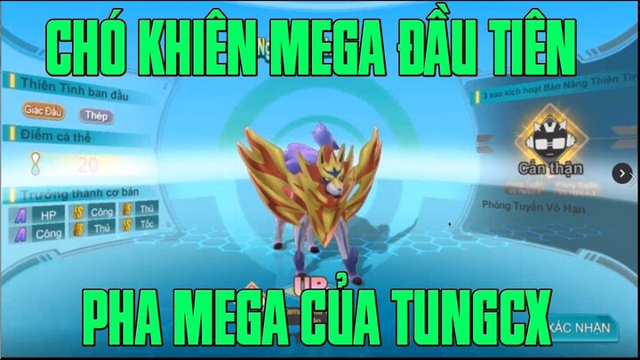 BẢO BỐI HUYỀN THOẠI - HỘI ANH EM BÀN GIÁO ÁN CỦA GAME...CÙNG XEM TÙNGCX LÊN MEGA CHÓ KHIÊN BẬC 7