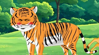 Kecantikan induk harimau membuat harimau jantan jatuh cinta pada pandangan pertama