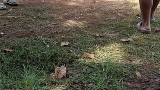 tupada lang muna walang sugat..