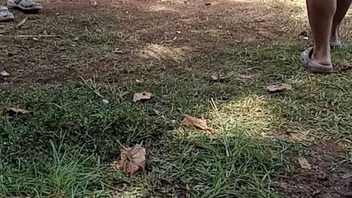 tupada lang muna walang sugat..