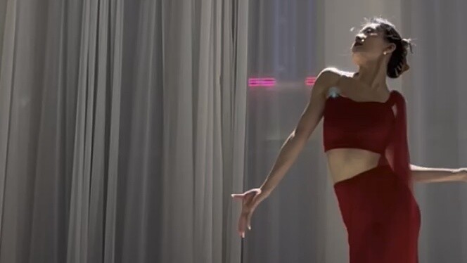 Rainforest full version