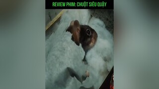 Review phim: Chuột siêu quậy phần 1 reviewphim phimhaymoingay fyb phimhaymoinhat phimhay xuhuong