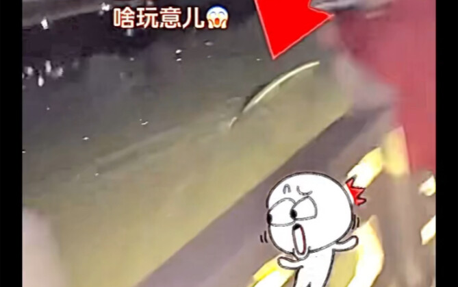 Xuất hiện sinh vật lớn bí ẩn trong lòng sông?? Có vẻ giống ống nước, nhưng tại sao ống nước lại có t