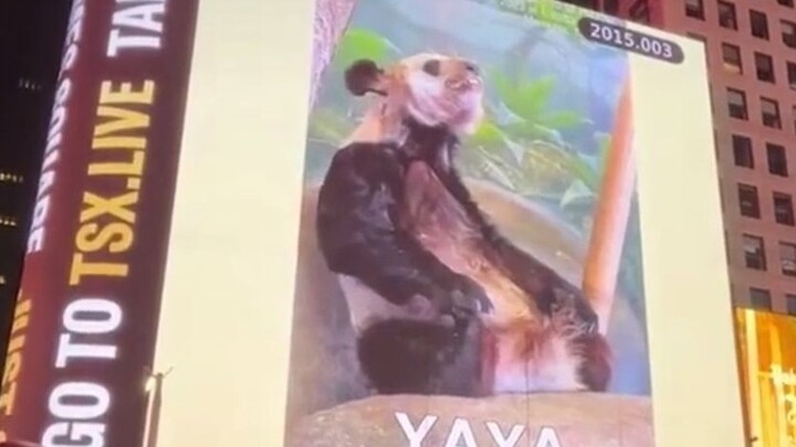 Netizen Tiongkok heboh bikin konten kocak di Times Square.