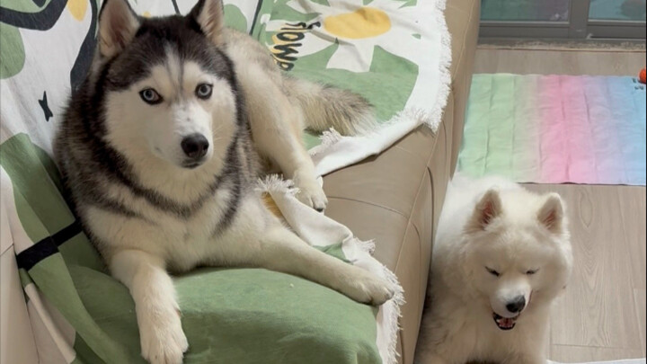 Sehari Jadi Pengasuh Buat Tiga Bocah Konyol di Kereta Luncur